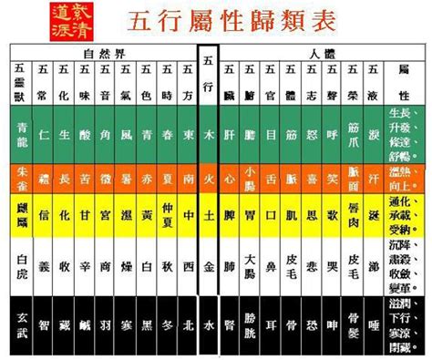 恩五行屬性